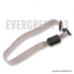 Câble de la carte de transfert