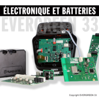 Electronique / Capteur / Batterie